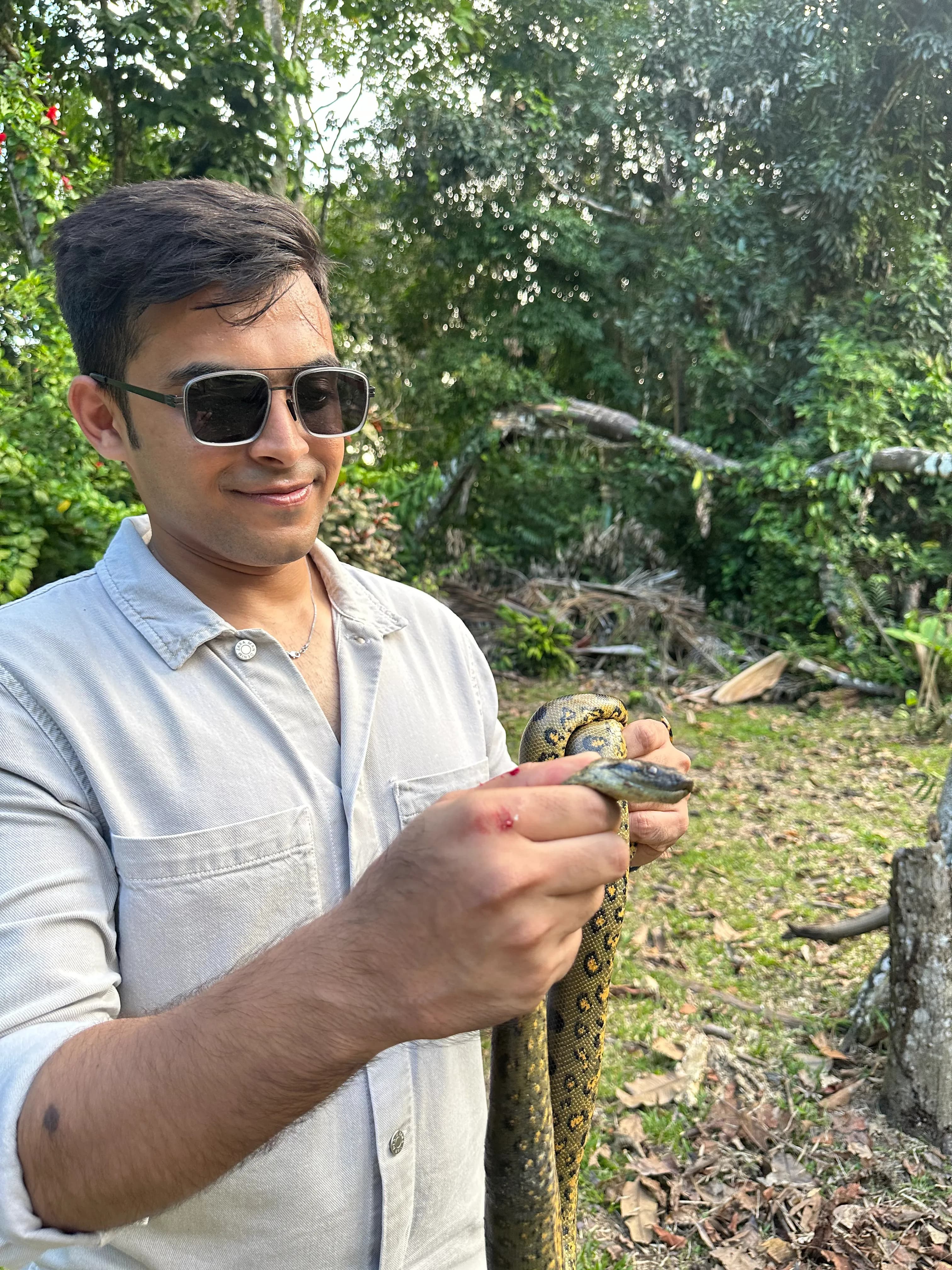 A traveller holding a young anaconda in the Amazon rainforest